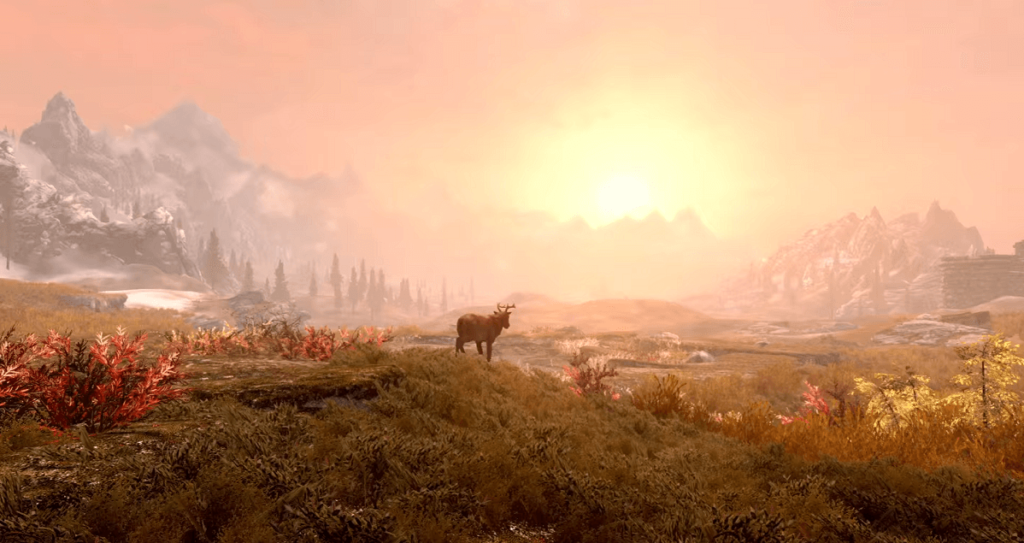 Skyrim Special Edition