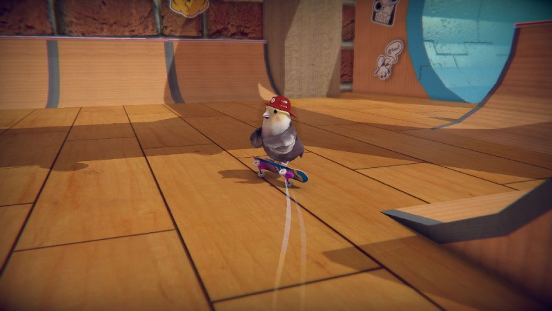 SkateBIRD uscita