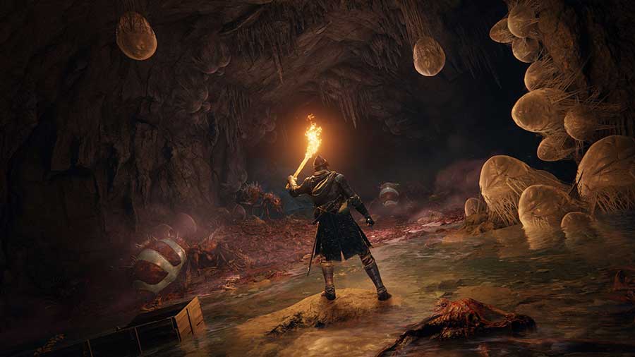 elden ring recensione xbox series x