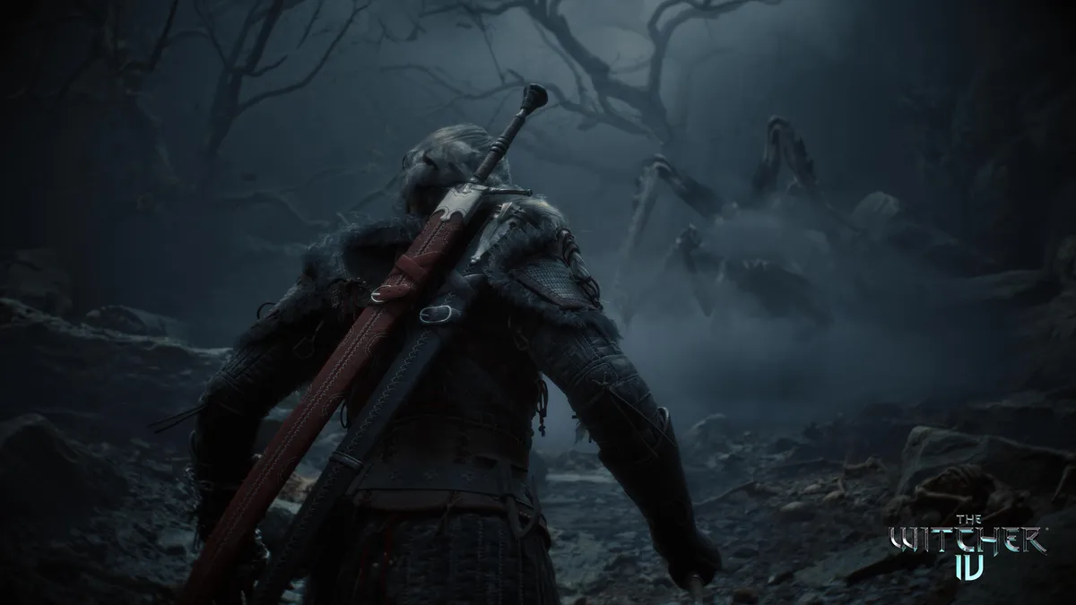 Il mondo aperto di The Witcher 4